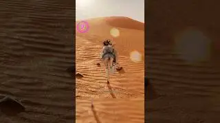 Out Of Bounds...