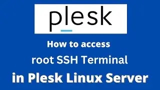 How to access root SSH Terminal in Plesk Linux Server