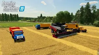 FS22 Timelapse Уборка пшеницы на трёх комбайнах.