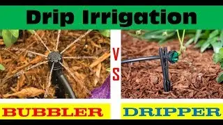 Drip Irrigation Bubbler vs Driper