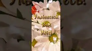 Доброе утро! Среда!