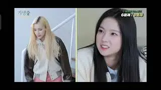 Kep1er guessing Kpop Dances