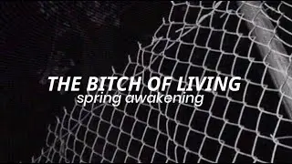 THE BITCH OF LIVING — Spring Awakening | sub español