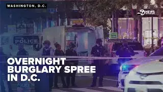 5 in custody after burglary spree across multiple DC area businesses