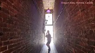 encountering rapier fencing in an alley 골목길에서 레이피어를 본다면.., #shorts