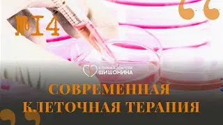 Современная клеточная терапия и советская школа врачевания: 14 выпуск «Хорошей медицины» 💊💉