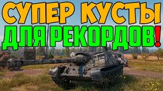 ЗАЛЕЗ В ИМБОВЫЙ КУСТ И УСТРОИЛ РАЗНОС!
