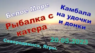 Flounder on fishing rods and donkeys from a boat. White Sea. Yagry, Severodvinsk. 05/20/2023.
