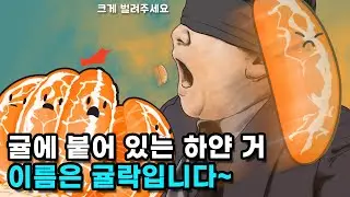 귤 알맹이는 쉽게 떼지는데 왜 다시 붙지 않을까?