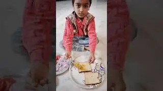 Sandwich Preparation by Praneeth(School Activity)