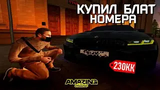 КУПИЛ САМЫЕ ДОРОГИЕ НОМЕРА ЗА ВСЮ ИСТОРИЮ AMAZING ONLINE (GTA CRMP)