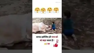 मां के बराबर कोई नही🫡 #status #maa #best #shorts #shortvideo #shortsvideo #youtubeshorts #funny #com