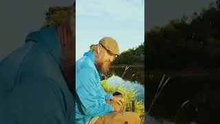 Как готовить мотыля к рыбалке 