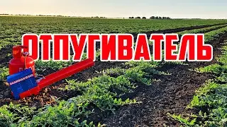 Отпугиватель Guardian 2 /Viber/WP/Telegram +79128475201