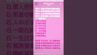 Wo Xing Shi (Speed Up/Lyrics)