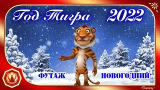 ✨🎄Прикольные новогодние  ФУТАЖИ. 2022 год. Встречайте ТИГРА🎄✨