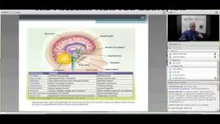 Pharmacology of Marijuana