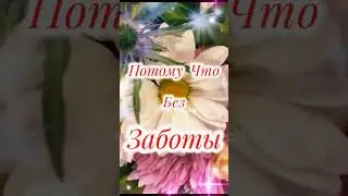 Привет! Суббота!
