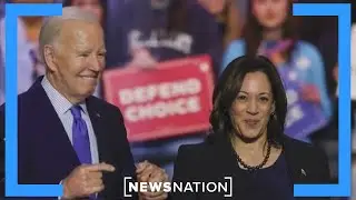 Democrats say they’re excited about Harris: Political pros | NewsNation Prime