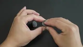 How to Reset the Apollo Bold True Wireless Earphones?