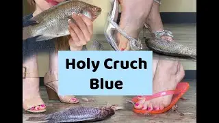 FISH CRUSH WITH HEELS | ASMR & CRUSHING