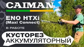 Кусторез аккумуляторный Caiman ENO HTXi (Maxi Connect) в работе и ранцевая оснастка ENO HA6080