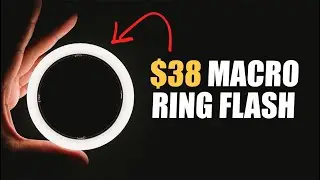 The CHEAPEST Macro Ring Flash... Is it any Good?