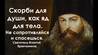 Не сопротивляйся и спасешься. Информация для тех, кто несет скорби. Святитель Игнатий Брянчанинов.