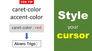 Change input caret color in CSS | Change cirsor color | caret-color Property | CSS Tip