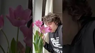 Так делали абсолютно все 🤣! 