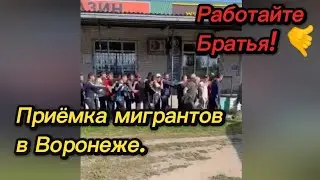 🤙Приёмка мигрантов в Воронеже - Миша Маваши.