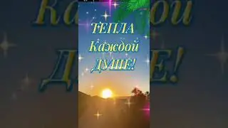Добрый вечер!