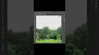 Powerful Technique to cut out trees in photoshop || Tree selection - Short Tutorial || 