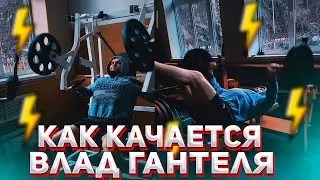 КАК КАЧАЕТСЯ ВЛАД ГАНТЕЛЯ В ЗАЛЕ | ГАЙД ОТ ВЛАДА ГАНТЕЛИ