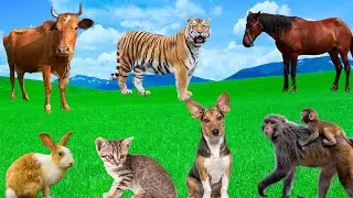 The Most Mischievous Animals - Dogs, Cats, Rabbits, Monkeys, Horses, Cows - Animal Moments