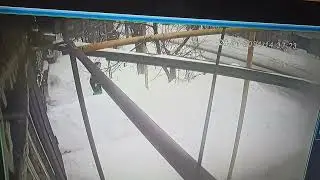 28 января 2024 г.