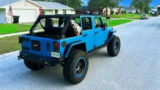 OUR DOGS' FIRST TOPLESS JEEP RIDE!