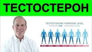 Поддержание здорового уровня тестостерона! Доктор Скотт Столл