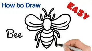 How to Draw a Bee Step by Step