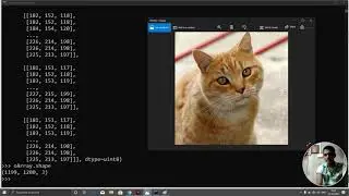 python 54 numpy  how to edit,crop an image