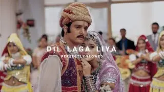 Dil Laga Liya Slowed Reverb Perfectly Slowed | Alka Yagnik Udit Narayan