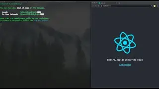 Getting started with React and the best visual studio code extensions