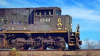 CP Honors Veterans: 6644 