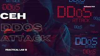 CEH Practical Lab 13: Mastering DDoS Attack & DHCP Attacks | Ethical Hacking Tutorial ||urdu