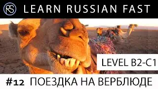 Short stories in Russian. Text + Audio + Eng.Subs. Story #12. ПОЕЗДКА НА ВЕРБЛЮДЕ