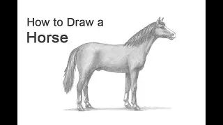 How to Draw a Horse