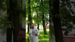Старцы-отшельники шутят| № 14 #shorts