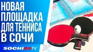 НАСТОЛЬНЫЙ ТЕННИС В СОЧИ