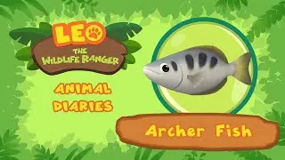 Archer Fish | A Fish That Shoots! | Leo the Wildlife Ranger | Fun Animals Facts For Kids