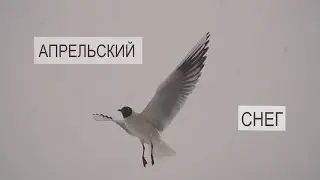 Апрельский СНЕГ